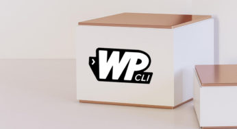 День взлома WP-CLI прошел успешно