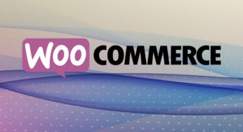 WooCommerce прекратит регистрацию параметров настройки в предстоящем выпуске 6.9